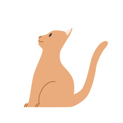 Cute cat sitting. Vector flat illustration on a white isolated background.