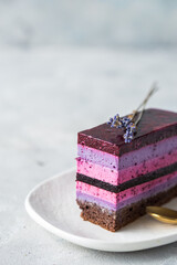 Traditional German cheesecake with lavender and blueberry. Slice of mousse cake, cheesecake with fresh berry on a white  background