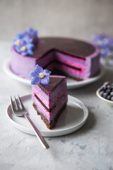 Traditional German cheesecake with lavender and blueberry. Slice of mousse cake, cheesecake with fresh berry on a white  background