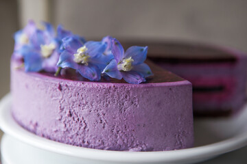 Traditional German cheesecake with lavender and blueberry. Slice of mousse cake, cheesecake with fresh berry on a white  background