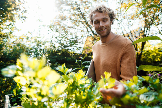 Smiling Young Man Examining Plants In Garden