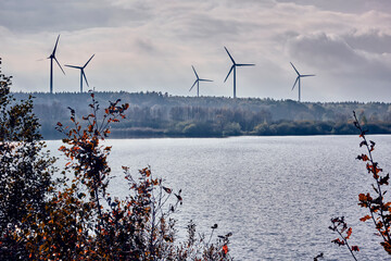 Der Halemer See am Rande des Ahlenmoors im Landkreis Cuxhaven.