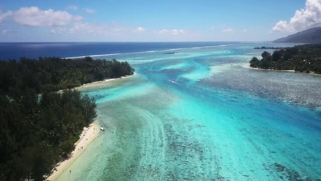 A wonderful view of a Moorea Icland beaches.