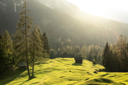 Summer meadow in Mieming Range at sunset with lone hut in background