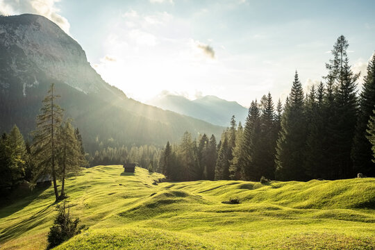 Summer meadow inMieming Range at sunset with lone hut in background