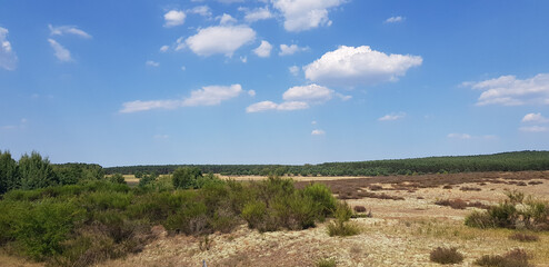 at the airport Cessna piper
in a plane
