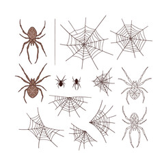 Spider with cross cobweb vector illustration set isolated on white. Line art arachnid insect print collection for Halloween or tee shirt design.