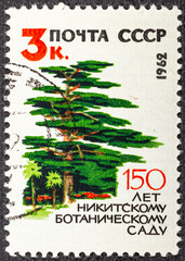 USSR - CIRCA 1962: Postage stamp printed in Soviet Union Russia shows Strawberry tree, 150th...