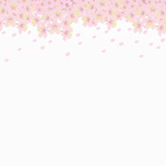 背景素材　舞い散る桜　昼（1_1）
