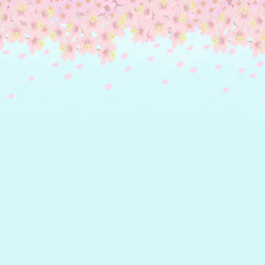 背景素材　舞い散る桜　昼（1_2）