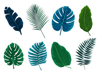Collection of exotic tropical leaves.  Hawaiian plants set in blue and green colors. Vector elements isolated on a white background.