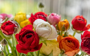 multi colored buttercup flowers bouquet closeup, blurred background