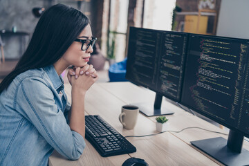 Profile side view portrait of attractive focused girl geek research database css linux intranet network at workplace workstation indoors
