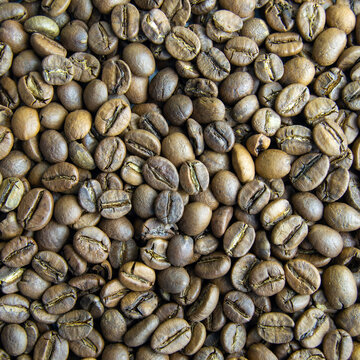 roasted coffee beans close-up. invigorating drink. power engineering specialist. Square image