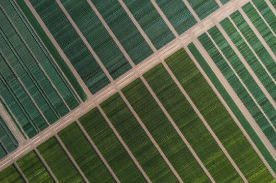 Drone view of green field with interconnecting footpaths