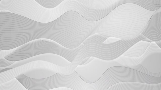 Grey minimal waves and lines abstract futuristic tech motion background. Seamless looping. Video animation Ultra HD 4K 3840x2160