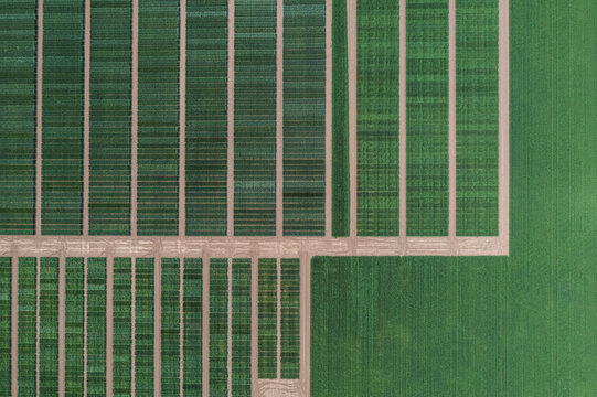 Drone view of green field with interconnecting footpaths