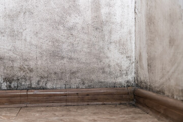 Black mold in the corner of the room wall, close-up, copy space