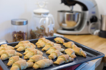 Freshly baked croissants on the baking tray