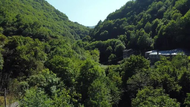 Two old houses in the middle of a green valley in Asturias, Spain. Green thic forest on a valley below a clear, blue sky on a sunny day.  Aerial view, drone shot. Camera moving forward.
