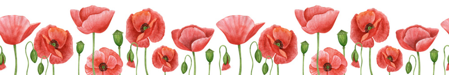Poppy flower rustic meadow seamless border patter design. Botanical border