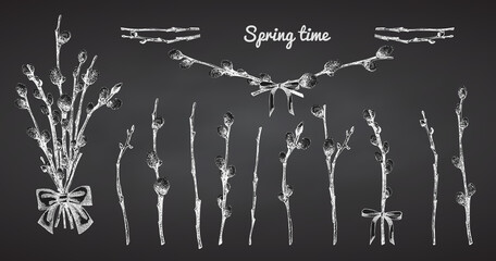 Pussy Willow branches set. Spring bouquet with ribbon bow. Chalk Hand-drawn sketch black and white design isolated on chalkboard background. Outline Sunday Easter symbol collection. Vector