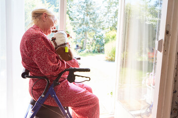 Elderly woman with rollator has little dog in her arms