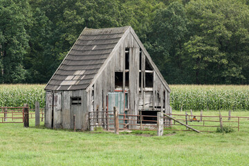 Obraz premium An old and crooked barn in a meadow 