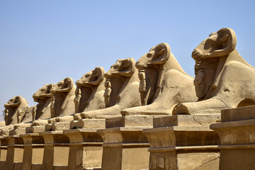 Small alley of sheep-headed sphinxes in front of Karnak Temple. Close-up. Famous Egyptian landmark...