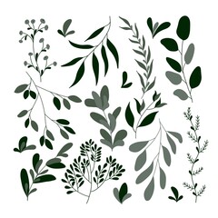 Set of plants and elements in shades of green on a white background. Isolate. Spring ornaments. Decor of tableware, textiles, postcards, clothes, banners, flyers, stationery.