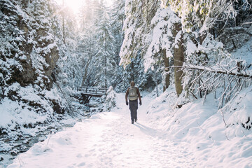 Person walking on snow covered path in sunny winter forest