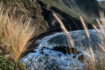 Playa salvaje