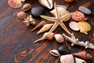 Fototapeta na wymiar shells on the wooden background
