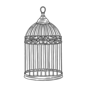 Hand drawn vintage bird cage illustration isolated on white background. Vector