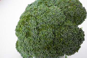 fresh broccoli on the white