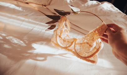 Women's hands hold a lace bra on a branch of eucalyptus on top of a sheet in the rays of the morning sun