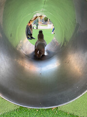 Little boy with coat and hat, playing inside an aluminum tube in a park.