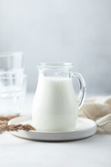 Obraz na płótnie Canvas Fresh dairy product in a jug