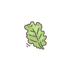 Lettuce salad fresh green leaf hand drawn doodle vector illustration isolated.