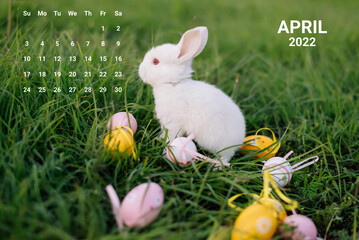 Calendar for April 2022 with an Easter white rabbit on the green grass with eggs.