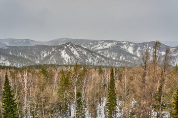 Reserve pillars, Krasnoyarsk region winter period.
