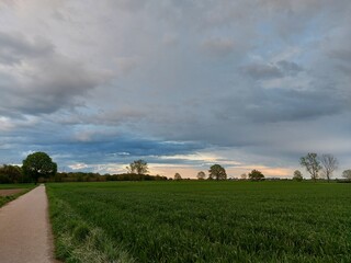 Alle Wege führen irgendwohin. Der Feldweg zieht sich durch die Felder. Die ländliche Straße...