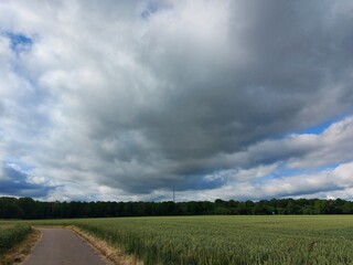 Alle Wege führen irgendwohin. Der Feldweg zieht sich durch die Felder. Die ländliche Straße...
