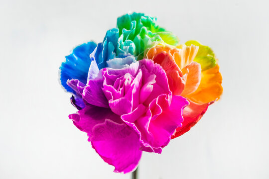 七色花」の写真素材 | 1,228件の無料イラスト画像 | Adobe Stock