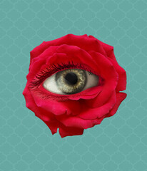 Red rose flower with an eye inside it on blue background. Modern design. Contemporary art. Creative...