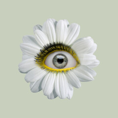 White camomile flower with an eye inside it on light background. Modern design. Contemporary art. Creative collage. Beauty, art, vision, fashion