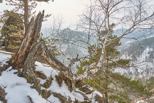 Reserve Pillars, Krasnoyarsk Region Winter Period.