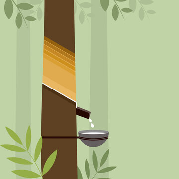Illustration of a rubber tree with its latex is tapped in a cup