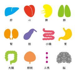五臓六腑と脳のアイコン、漢字、カラフルで楽しい