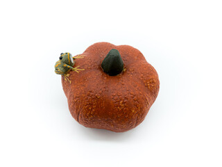 호박위에 개구리가 앉아있는 형상의 도자기 장식품